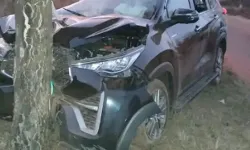 कुत्ते को बचाने के चक्कर में मंत्री की कार पेड़ से टकराई-MLC भी थे सवार