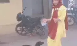 युवती ने थाने को बनाया शूटिंग स्थल- कुत्ते के साथ डांस कर REEL की शूट