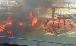 महाकुंभ में लगी आग- टेंटों में रखें सिलेंडरों में हो रहे ब्लॉस्ट महाकुंभ में लगी आग- टेंटों में रखें सिलेंडरों में हो रहे ब्लॉस्ट