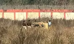 एयरपोर्ट के स्टाफ किया हमला- बकरी के लालच में पिंजरे में फंसा तेंदुआ