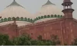 एससी का फरमान- जारी रहेगी शाही ईदगाह के सर्वे पर रोक एससी का फरमान- जारी रहेगी शाही ईदगाह के सर्वे पर रोक