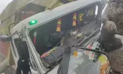 तेरहवीं के बाद भी सड़क पर पड़े पुराने पेड़ से लकड़ी भरा ट्रक टकराया तेरहवीं के बाद भी सड़क पर पड़े पुराने पेड़ से लकड़ी भरा ट्रक टकराया