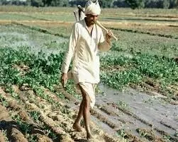 किसानों ने तारों की बाड़ लगाने से पहले खेती के सुरक्षा की मांग की किसानों ने तारों की बाड़ लगाने से पहले खेती के सुरक्षा की मांग की
