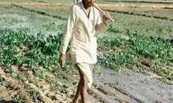 किसानों ने तारों की बाड़ लगाने से पहले खेती के सुरक्षा की मांग की