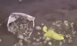 आलू के खेत में हुआ ब्लास्ट- दो बच्चे झुलसे- धमाके से इलाके में दहशत आलू के खेत में हुआ ब्लास्ट- दो बच्चे झुलसे- धमाके से इलाके में दहशत