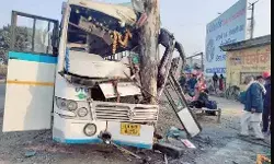 हाईवे पर दौड़ रही बस पेड़ से टकराई- मौके पर मची चीख पुकार