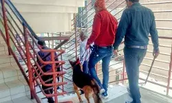 दिल्ली यूनिवर्सिटी के कॉलेज के साथ NCR के दो स्कूलों को मिली यह धमकी दिल्ली यूनिवर्सिटी के कॉलेज के साथ NCR के दो स्कूलों को मिली यह धमकी