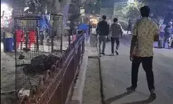 संत प्रेमानंद महाराज की पदयात्रा पर सन्नाटा- दुकानदारों को फटका संत प्रेमानंद महाराज की पदयात्रा पर सन्नाटा- दुकानदारों को फटका