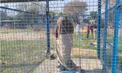 अंबेडकर की प्रतिमा तोड़ने के बाद सिर अलग फेंका- इलाके में सुरक्षा....