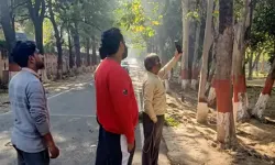 खून की प्यासी बनी मधुमक्खियां को कैद करने यूनिवर्सिटी पहुंची टीम खून की प्यासी बनी मधुमक्खियां को कैद करने यूनिवर्सिटी पहुंची टीम