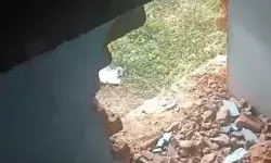 चोरों का दारु के ठेके पर धावा- ले उड़े 70 हजार की नकदी व 100 पेंटी दारू