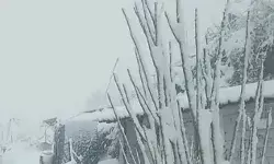 उत्तराखंड में ग्लेशियर टूटने से भारी तबाही- 42 लोग लापता- 15 व्यक्ति..