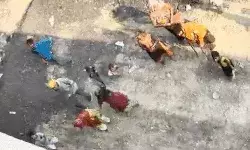 REEL के लिए यूट्यूबर ने फ्लाईओवर से की नोटों की बारिश- लूटने... REEL के लिए यूट्यूबर ने फ्लाईओवर से की नोटों की बारिश- लूटने...