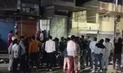 पालतू बिल्ली की मौत के सदमे में महिला ने किया ऐसा काम- मचा कोहराम पालतू बिल्ली की मौत के सदमे में महिला ने किया ऐसा काम- मचा कोहराम