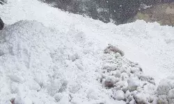 बर्फ का पहाड़ गिरने से गंगोत्री हाइवे बंद- खोलने में जुटी बीआरओ टीम बर्फ का पहाड़ गिरने से गंगोत्री हाइवे बंद- खोलने में जुटी बीआरओ टीम