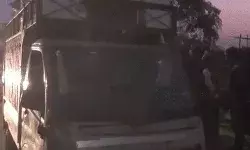 मिलावटखोरों का नया अविष्कार- फूल झाड़ू की घास से बना जीरा सीज मिलावटखोरों का नया अविष्कार- फूल झाड़ू की घास से बना जीरा सीज