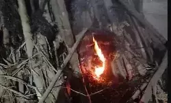 असामाजिक तत्वों की घिनौनी करतूत- होलिका दहन से पहले ही लगाई आग असामाजिक तत्वों की घिनौनी करतूत- होलिका दहन से पहले ही लगाई आग