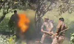 एसडीएम के सामने आग लगने वाला किसान अब मौत से भी गया हार एसडीएम के सामने आग लगने वाला किसान अब मौत से भी गया हार