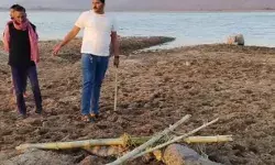 घर के बाहर पहुंचे मगरमच्छ ने उड़ाई लोगों की नींद- कुत्तों के भौंकने...