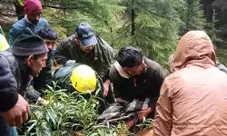 900 मीटर गहरी खाई में गिरी कार- दो लोगों की मौके पर गई जान 900 मीटर गहरी खाई में गिरी कार- दो लोगों की मौके पर गई जान