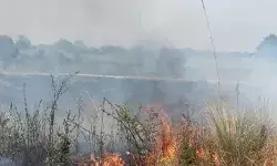 रेलवे ट्रैक के पास आग ने मचाया तांडव- आरपीएफ ने संभाला मोर्चा रेलवे ट्रैक के पास आग ने मचाया तांडव- आरपीएफ ने संभाला मोर्चा