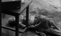 घर के रखवाले ने ही ले ली मालकिन की जान- नोच नोच कर खा गया जर्मन शेफर्ड घर के रखवाले ने ही ले ली मालकिन की जान- नोच नोच कर खा गया जर्मन शेफर्ड