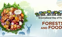 अंतरराष्ट्रीय वन दिवस पर किया पौधारोपण- बताएं वृक्षारोपण के फायदे अंतरराष्ट्रीय वन दिवस पर किया पौधारोपण- बताएं वृक्षारोपण के फायदे