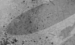 छत से लेकर सड़क तक खून के निशान- चोर ने अपने ही साथी को मारी गोली