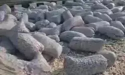 डबल डेकर बस लहसुन भरे ट्रक से टकराई- बस में सवार थे एक सैकड़ा यात्री डबल डेकर बस लहसुन भरे ट्रक से टकराई- बस में सवार थे एक सैकड़ा यात्री