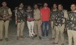 पशु तस्कर का हॉफ एनकाउंटर- मुठभेड़ में पुलिस की गोली पैर में लगी पशु तस्कर का हॉफ एनकाउंटर- मुठभेड़ में पुलिस की गोली पैर में लगी