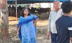 औचक निरीक्षण में नदारद मिले कर्मचारी- गंदगी देख EO ने खुद झाड़ू से.... औचक निरीक्षण में नदारद मिले कर्मचारी- गंदगी देख EO ने खुद झाड़ू से....