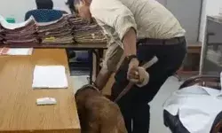 कलेक्ट्रेट को बम से उड़ाने की वार्निंग- सैकड़ों अधिकारी कर्मचारी.... कलेक्ट्रेट को बम से उड़ाने की वार्निंग- सैकड़ों अधिकारी कर्मचारी....