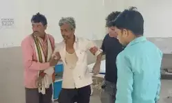 घोड़ा बुग्गी में टक्कर मारकर तेज रफ्तार कार ने छीन ली घोड़े की जिंदगी घोड़ा बुग्गी में टक्कर मारकर तेज रफ्तार कार ने छीन ली घोड़े की जिंदगी