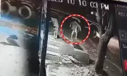 पैदल जा रहे युवक ने ट्रक ड्राइवर को बुरा फंसाया- नजदीक आते की...