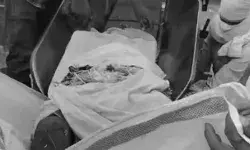 सिर पर बंधा गमछा पट्टे में आया- थ्रेसर में काट दी किसान की कुटी सिर पर बंधा गमछा पट्टे में आया- थ्रेसर में काट दी किसान की कुटी