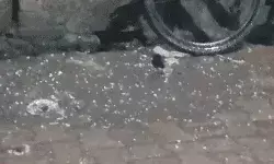 आंधी बारिश की मार से बेहाल हुआ गंगा नदी पर बना पीपा पुल- बहकर 5 किमी..