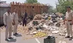 फरीदाबाद जा रहा ट्रक हाईवे पर पलटा- आम लूटने को उमड पड़ी भारी भीड़