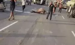 हाईवे पर खून ही खून- दूर तक बिखरी ऊंटों की लाश- लोगों ने लगाया जाम
