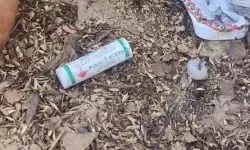 2 दिन से फरार प्रेमी प्रेमिका केश व अर्ध नग्न हालत में मिले- स्कूटी...