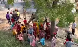 गरीबों के आशियानों में आग का तांडव- 3 पशुओं की मौत- लाखों का सामान..