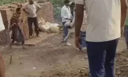 जमीन की पैमाइश के वक्त बवाल- पुलिस के सामने परिवार की कुटाई जमीन की पैमाइश के वक्त बवाल- पुलिस के सामने परिवार की कुटाई