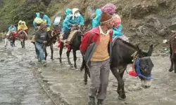 केदारनाथ में खच्चरों एवं घोड़ों के इस्तेमाल पर इस वजह से लगाया प्रतिबंध