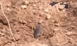 बॉर्डर से लगे गांव कराई जा रहे खाली- जैसलमेर में मिला जिंदा बम