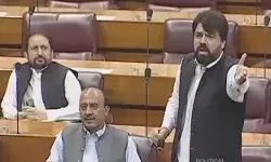 नेशनल असेंबली में सांसद ने पाक पीएम को दिया गीदड़ करार नेशनल असेंबली में सांसद ने पाक पीएम को दिया गीदड़ करार