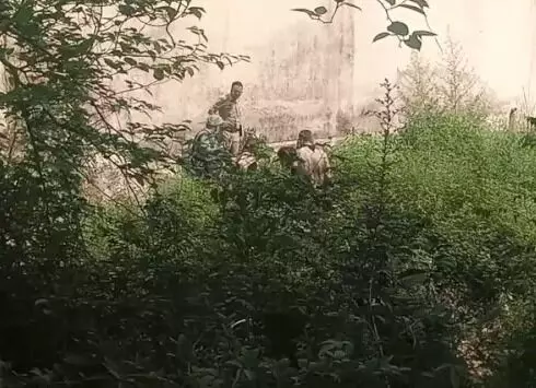 8 साल की बच्ची का मर्डर- लापता बच्ची की लाश घर के पीछे मिली 8 साल की बच्ची का मर्डर- लापता बच्ची की लाश घर के पीछे मिली