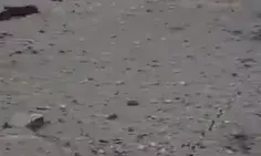 दुस्साहस जमींदोज- पाक चौकियां, आतंकी लॉन्च पैडस ध्वस्त दुस्साहस जमींदोज- पाक चौकियां, आतंकी लॉन्च पैडस ध्वस्त