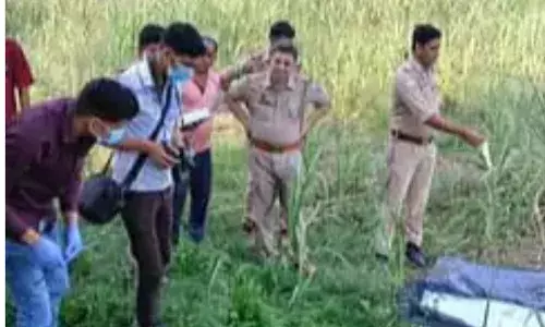 मर्डर कर गन्ने के खेत में फेंकी युवक की लाश- इलाके में सनसनी...