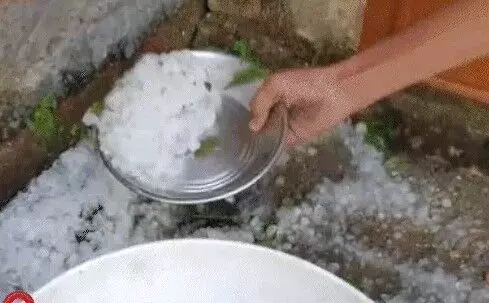 30 मिनट तक गिरे ओले- सड़कों पर बिछी सफेद चादर- बाल्टियों में भरकर..