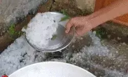 30 मिनट तक गिरे ओले- सड़कों पर बिछी सफेद चादर- बाल्टियों में भरकर.. 30 मिनट तक गिरे ओले- सड़कों पर बिछी सफेद चादर- बाल्टियों में भरकर..