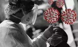 गुजरात में कोरोना की एंट्री- मिले सात नए मामले- सबसे ज्यादा केरल में.. गुजरात में कोरोना की एंट्री- मिले सात नए मामले- सबसे ज्यादा केरल में..